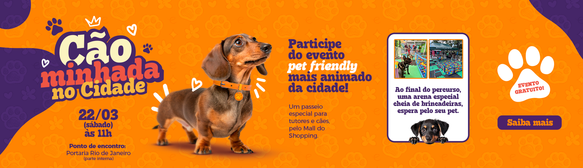 Cãominhada no Shopping Cidade: um momento especial para você e seu pet!